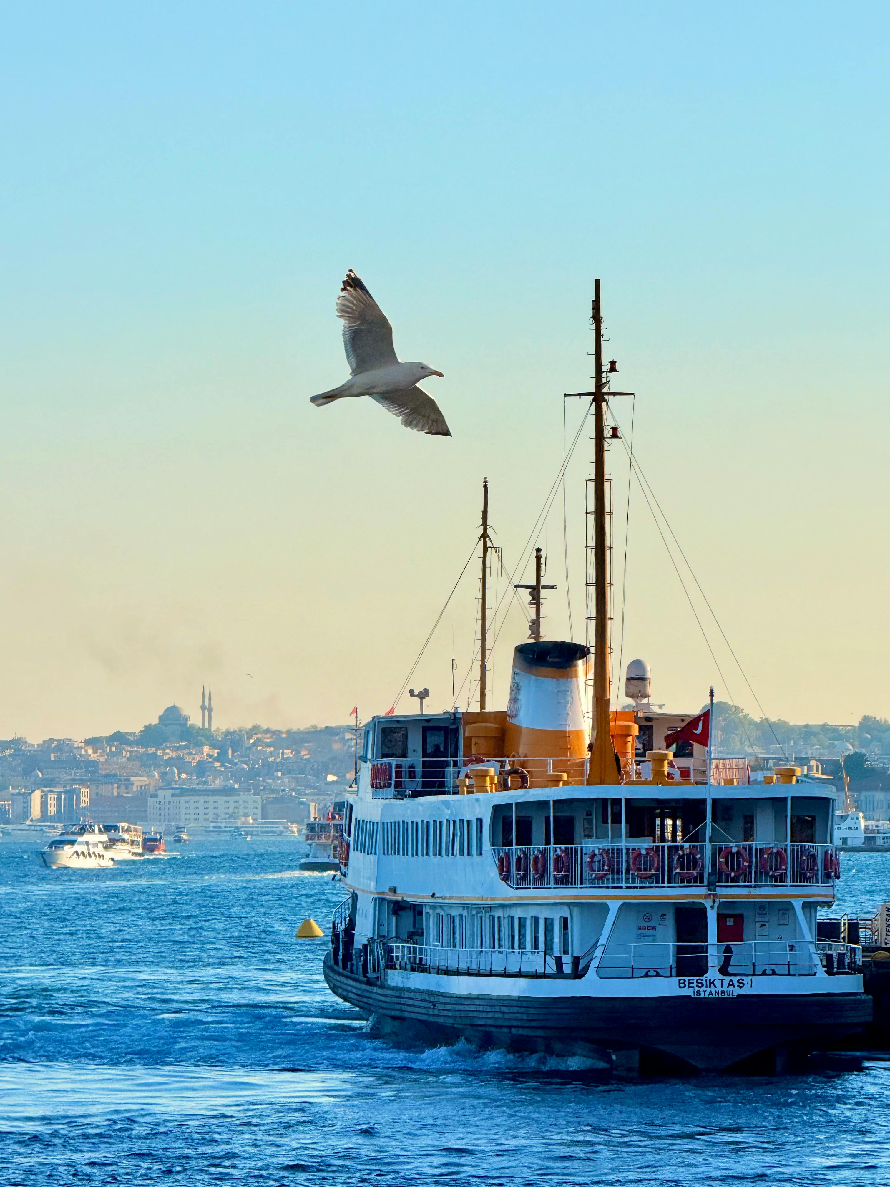 Istanbul Combo: Classic City Tour & Bosphorus Cruise